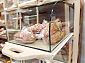 Mobilier comercial de sticla pentru produse panificatie